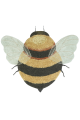 C-BEE_1.png