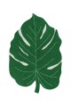 C-MONSTERA_1.jpg