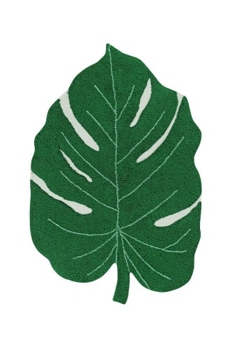 C-MONSTERA_1.jpg